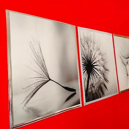 Dandelion Viareggio
